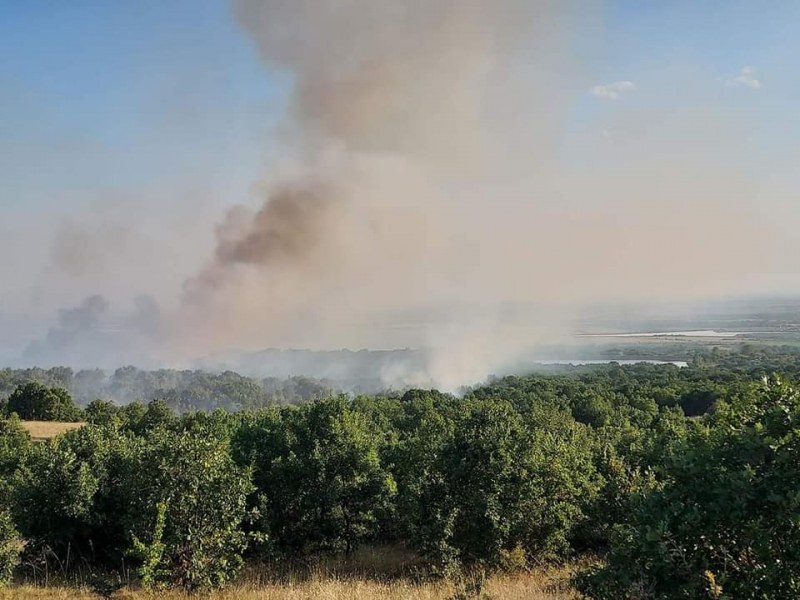 Военен вертолет се включи в гасенето на големия пожар край Калояново
