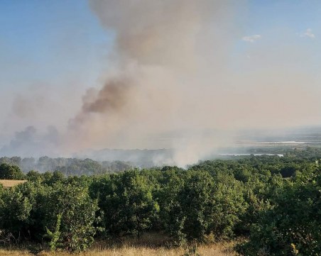 55 горски пожара са регистрирани в страната от началото на юли до момента