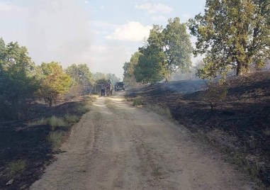 Потушиха пожара в Калояновско Огънят тръгнал от запалено стърнище държа