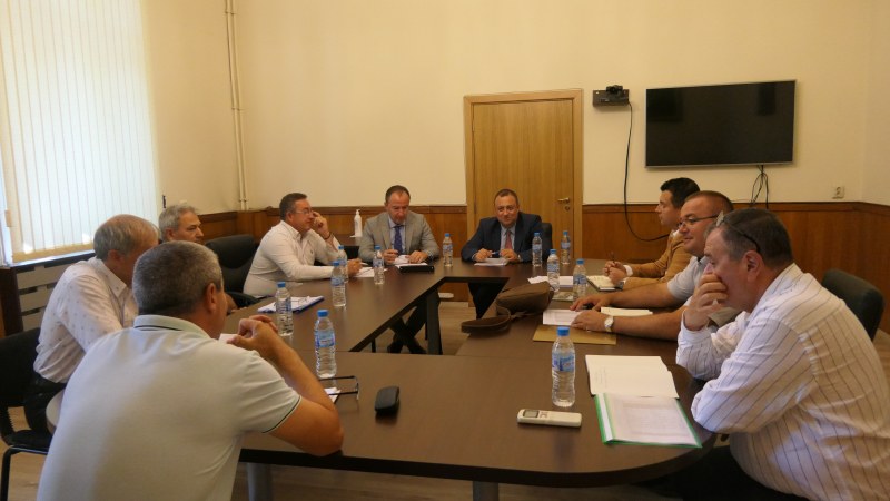 Заявките за дърва за огрев са завишени с над 25% спрямо миналата година