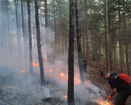 Пловдивските пожарникари-доброволци от 