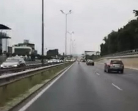 Трансмомичето Емили или неин последовател? Дама хвърчи с тротинетка по софийски булеварди