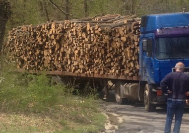 Камион и дървен материал са иззети при съвместна проверка на
