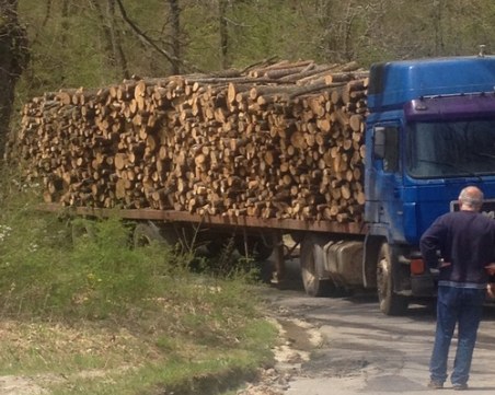 Нелегална дървесина! Конфискуваха фирмен камион с дървен материал