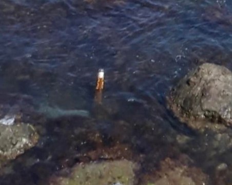 Още един военен боеприпас изплува на български плаж