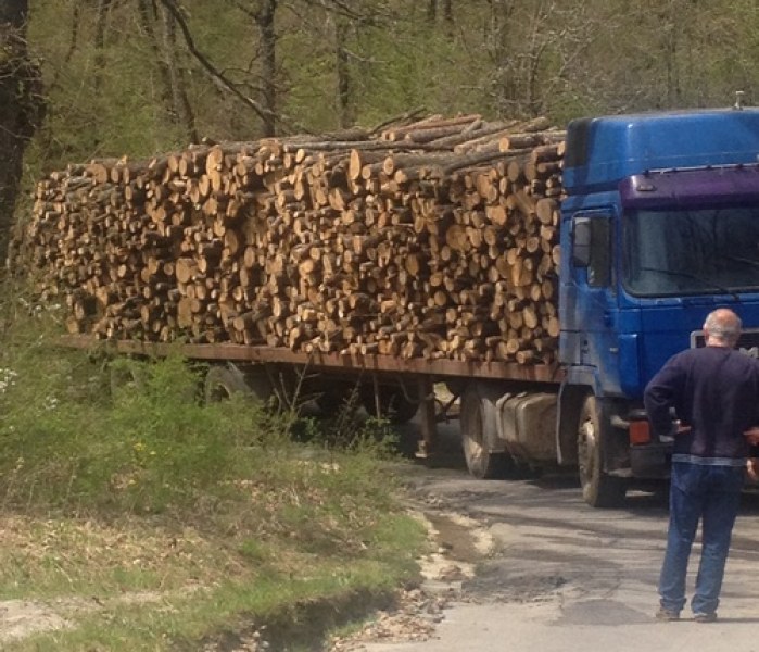 Нелегална дървесина! Конфискуваха фирмен камион с дървен материал