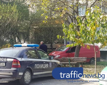 Възрастна жена и синът ѝ са пострадали при нападение в Скутаре