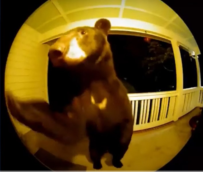Охранителната камера на семейство от Южна Каролина засне любопитен момент.