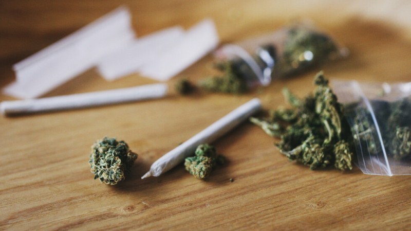 Арестуваха 15-годишна пловдивчанка за разпространение на марихуана