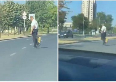Пешеходци камикадзета изскачат ежедневно по пътищата из Пловдив За поредния