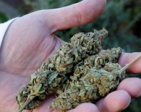 Хванаха 4 души с наркотици в Панагюрище само за ден