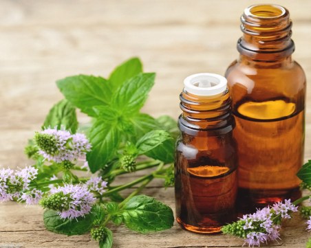 Тайнствата на маслото от мента