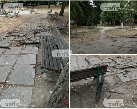 На метри от майки с деца: Голям клон се стовари на пейка в пловдивски парк
