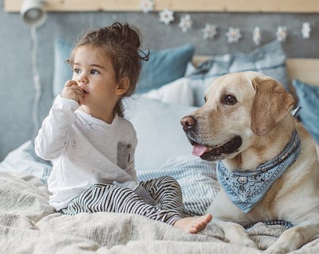 Как да подготвим кучето за появата на бебето ни