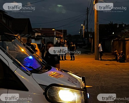 Тройно убийство в Рогош