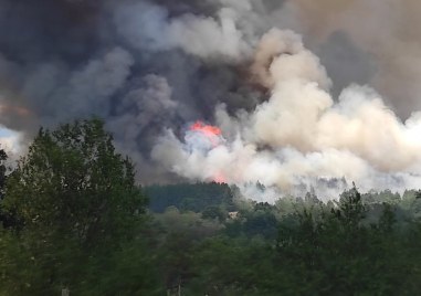 Голям горски пожара бушува между селата Левски и Елшица в