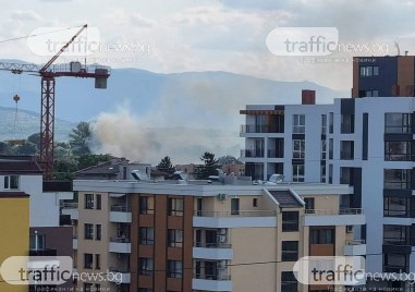 Огън пламна край квартал Прослав в Пловдив Запалили са се