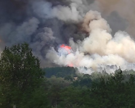 Голям горски пожар бушува в района на Пазарджик