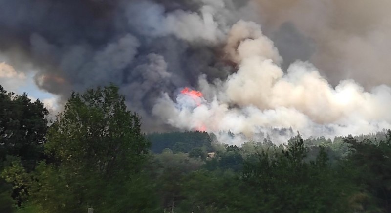 Голям горски пожар бушува в района на Пазарджик