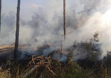 Пожари вилнеят на няколко места в страната Горски масив гори