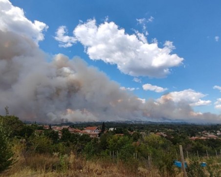 Зам.-министър Чамбов: Държавните горски територии, засегнати от пожара при с. Елшица, ще бъдат възстановени