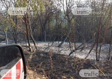 Големият пожар край панагюрското село Елшица е овладян но все