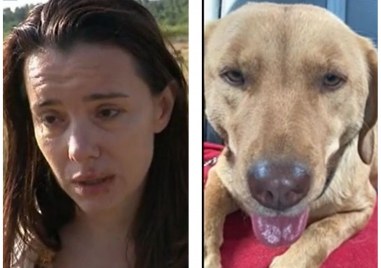 Неизвестен простреля куче докато стопанката му е на 5 метра