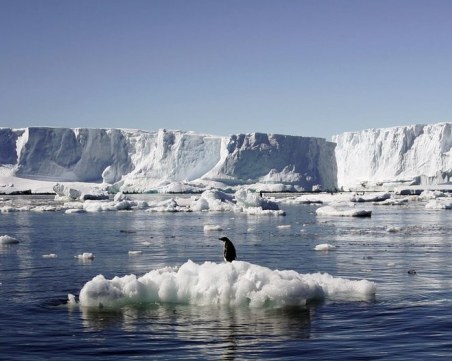 Учените са притеснени: Ледовете на Антарктида се разпадат по-бързо от очакваното