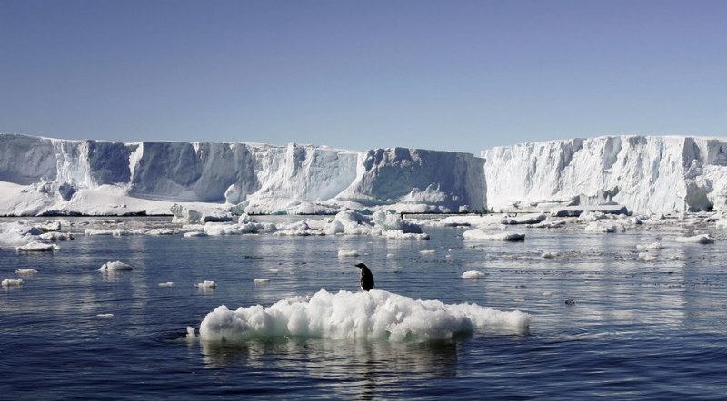 Учените са притеснени: Ледовете на Антарктида се разпадат по-бързо от очакваното
