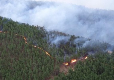 Овладяха големият пожар на гръцкия остров Тасос Той избухна в сряда