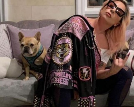 Осъдиха на шест години затвор похитителя на кучетата на Лейди Гага