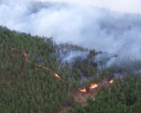 Овладяха големия пожар на остров Тасос