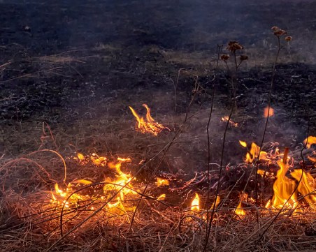 Военен хеликоптер се включи в гасенето на пожара в Елховско