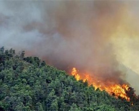 Овладян е големият пожар в Елховско, обхванал близо 5000 дка