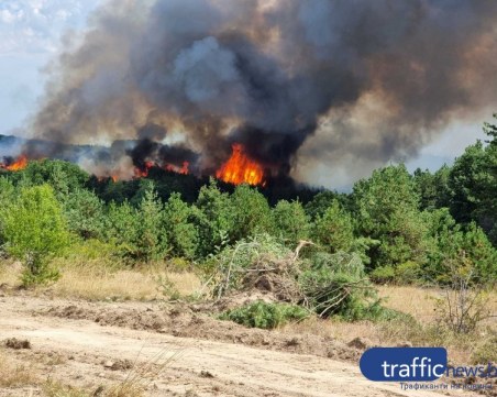 Рекордни площи в ЕС са изгорели вследствие на пожари от началото на годината