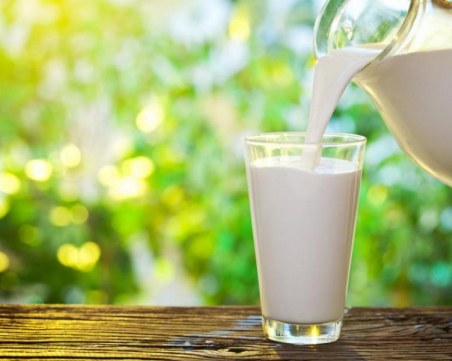 С 2% намалява производството на мляко в ЕС