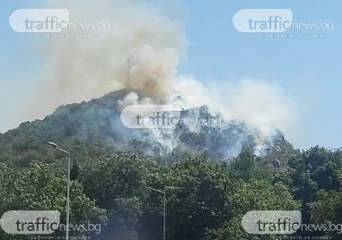 Огромен пожар е лумнал Младежкия хълм Гори целия западен склон