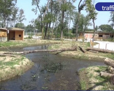 Гордиевият възел със зоопарка в Пловдив все по-заплетен, проектантът се отказа