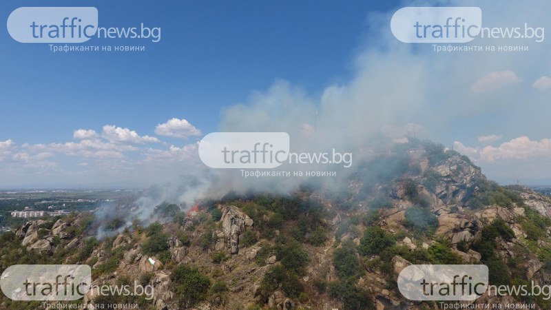 Три пожарни и екипи на „Градини и паркове” гасят пожара,
