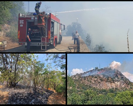 Пожарът на Младежкия хълм от по-различна гледна точка - разкази от първо лице