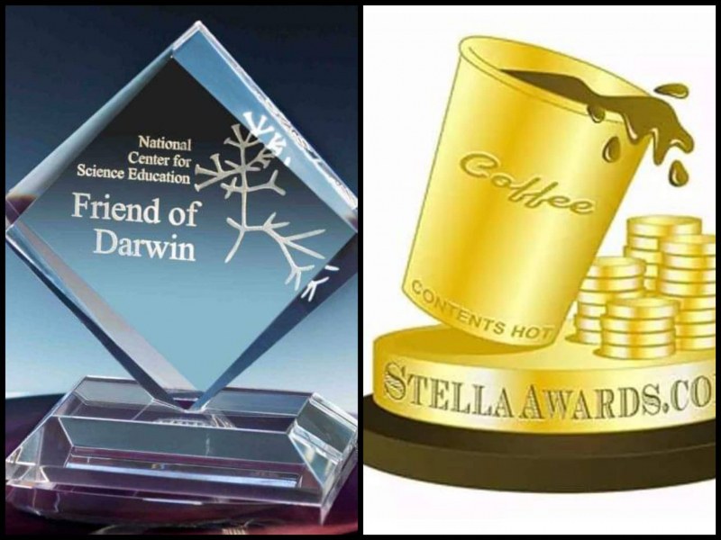 Най-странните награди в света