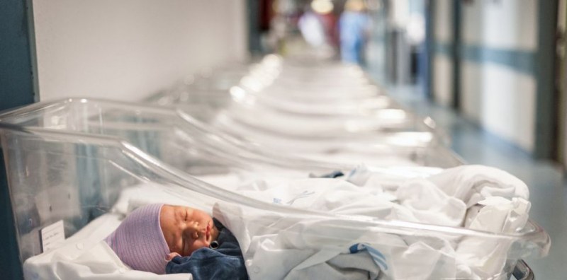Оптимистично: Повече родени бебета и по-малко починали в Пловдив