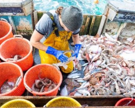 Китай започна тестване на риби за COVID-19