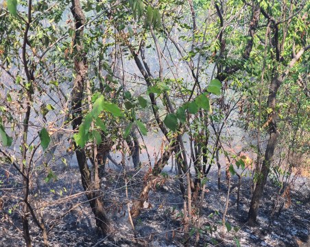 Три вертолета и над 400 военни се бориха с огромния пожар край Казанлък