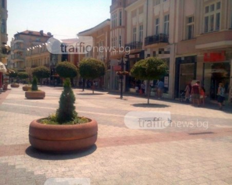 Жълт код за опасни жеги в Пловдив и още 15 области в страната