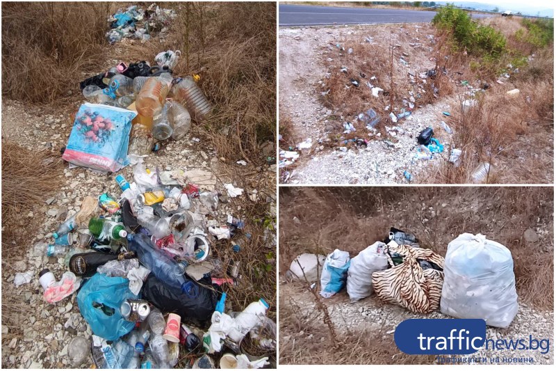 Българин разчисти десетки боклуци, изхвърлени и разпилени в тревите в
