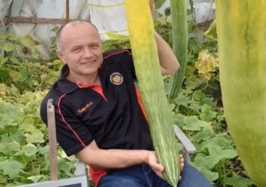 Градинар любител счупи световен рекорд на Гинес като отгледа най дългата краставица