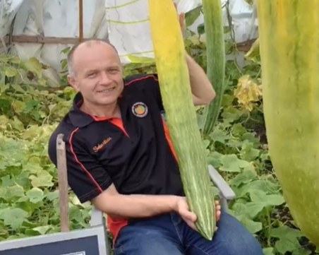 Счупиха рекорда за най-дълга краставица в света