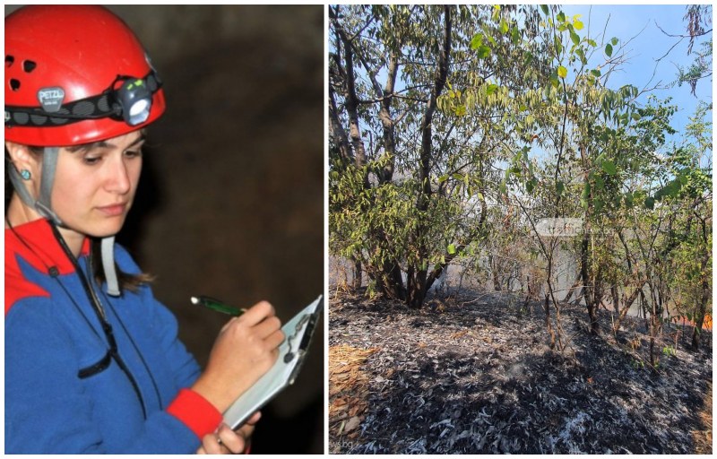 Биолог след пожара на Младежки: Природата ще се възстанови и без нас, но трябва да сме бдителни
