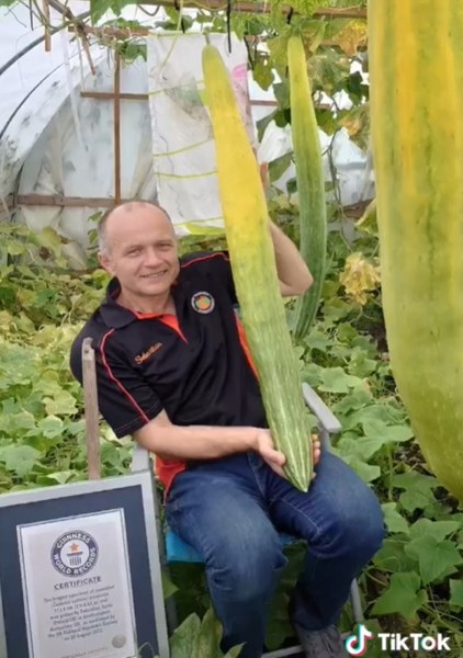 Градинар любител счупи световен рекорд на Гинес, като отгледа най-дългата краставица